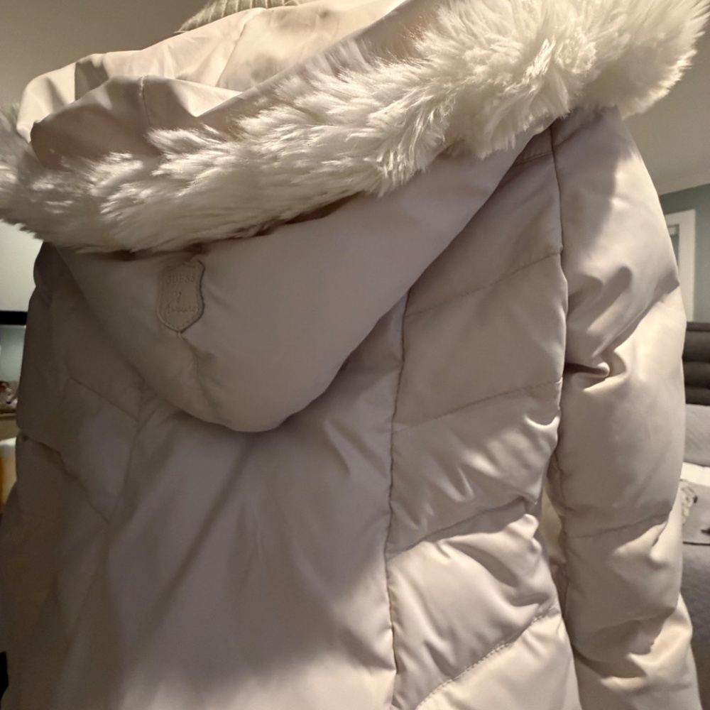 Puffer - Picture 7 of 8